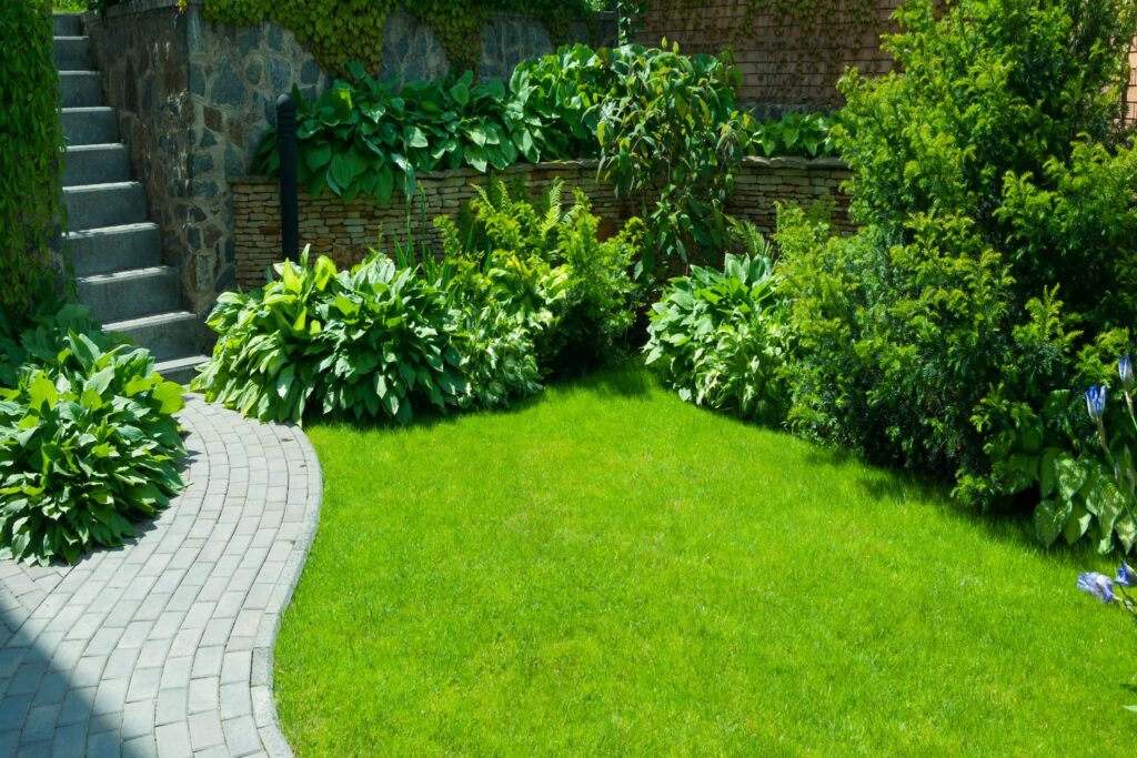 Lush garden pathway with green plants and stone stairs.